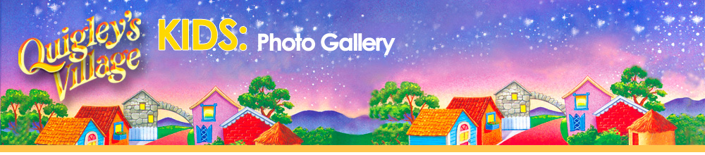 Quigley's Village Header